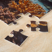 Puzzle Coraux (Côté)
