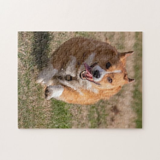 Puzzle Corgi joyeux face en cours (Horizontal)