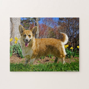 Puzzle "Corgi Time"