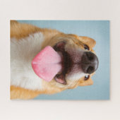 Puzzle Corgi très heureux des images | de Getty (Horizontal)