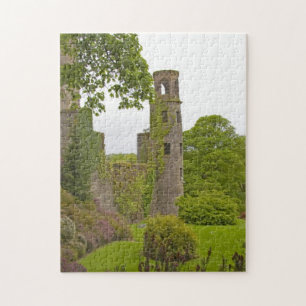 Puzzle Cork, Irlande. Le célèbre château de Blarney 2