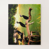 Puzzle Cormorans (Vertical)