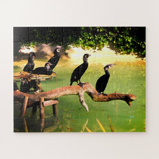 Puzzle Cormorans (Horizontal)