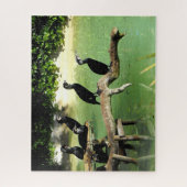 Puzzle Cormorans (Vertical)