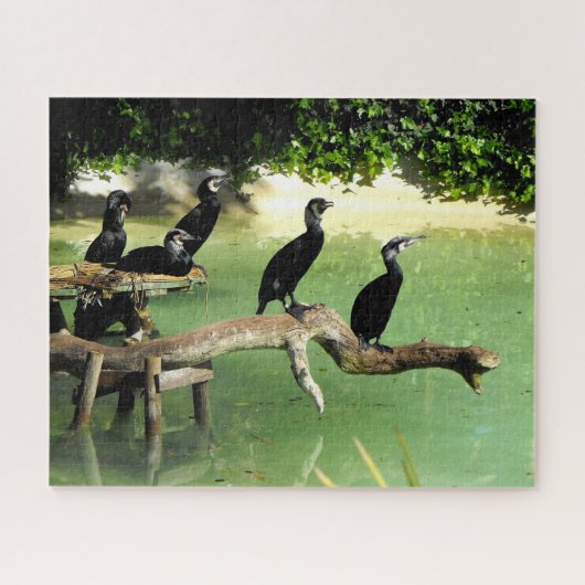 Puzzle Cormorans (Horizontal)