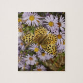 Puzzle Coronis Fritillary sur Aster Flowers à Grand Teton (Vertical)
