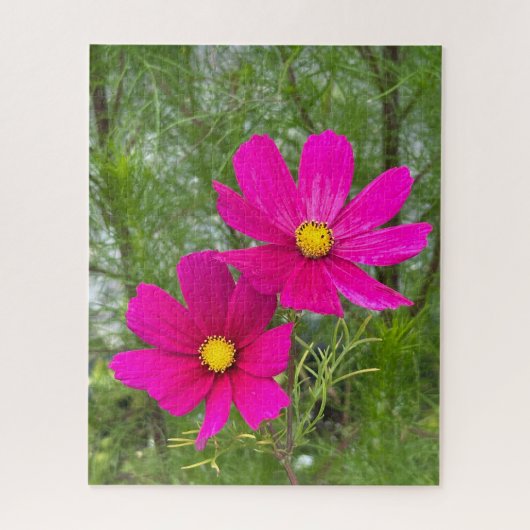 Puzzle Cosmos magenta, Québec (Vertical)