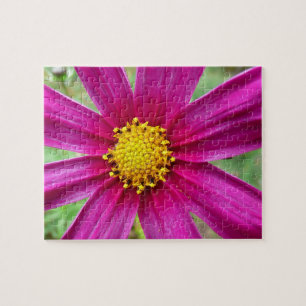 Puzzle Cosmos sauvage pourpre