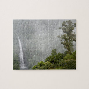 Puzzle Costa Rica, forêt nuageuse dans les montagnes près