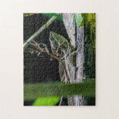 Puzzle Costa Rica - Homme Émeraude Basilisque Lizard (Vertical)