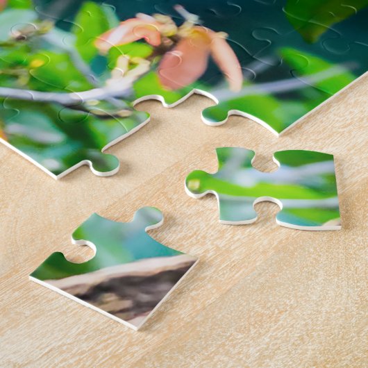 Puzzle Costa Rica, Muelle - Lazy Iguana reposant dans un (Côté)