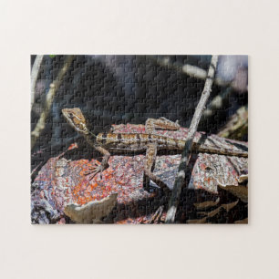 Puzzle Costa Rica, Punta Cahuita - Basilisque femelle Liz