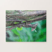 Puzzle Costa Rica, Tortuguero - Basilisk Lizard (Horizontal)