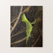 Puzzle Costa Rica, Tortuguero - Emerald Basilisk Lizard (Vertical)