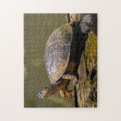 Puzzle Costa Rica, Tortuguero - Tortue (Vertical)