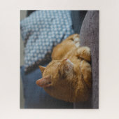Puzzle Cosy ginger Cat (Vertical)