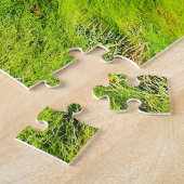 Puzzle Côte d'Irlande, photo, (Côté)