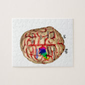 Puzzle Côté gauche et droit de cerveau (Horizontal)