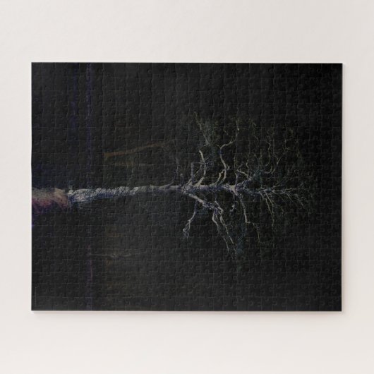 Puzzle Côté noir 3 16x20 520pc jpa (Horizontal)