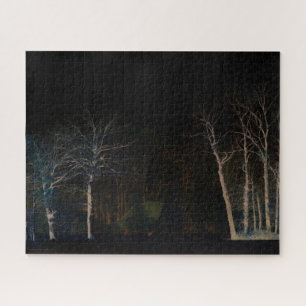 Puzzle Côté sombre 4 16x20 520pc jpcn
