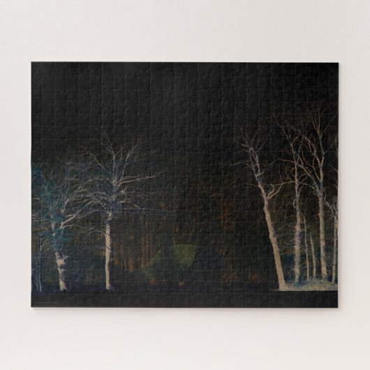 Puzzle Côté sombre 4 16x20 520pc jpcn (Horizontal)