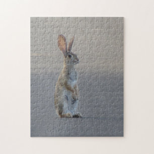 Puzzle Cottontail Rabbit
