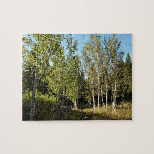 Puzzle Cottonwoods le long de Moose Ponds Trail à Grand T (Horizontal)