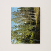 Puzzle Cottonwoods le long de Moose Ponds Trail à Grand T (Vertical)