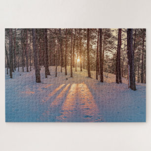 Puzzle Coucher de soleil dans la pinède d'hiver