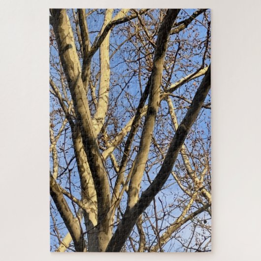 Puzzle Coucher de soleil sur le sycomore (Vertical)