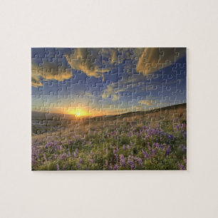 Puzzle Coucher de soleil sur les montagnes Bitterroot et