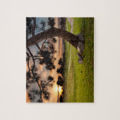 Puzzle Coucher de soleil sur un terrain de golf (Vertical)