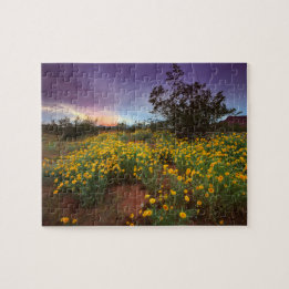 Puzzle Coucher du soleil du sud de fleurs sauvages de