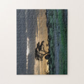 Puzzle Coucher le soleil sur la savane (Vertical)