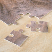 Puzzle Cougar, Californie (Côté)