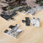 Puzzle Cougar Cubs (Côté)