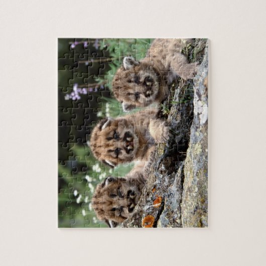 Puzzle Cougar Cubs (Vertical)