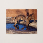 Puzzle Cougar Cubs (Horizontal)