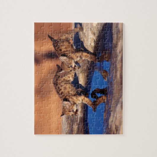 Puzzle Cougar Cubs (Vertical)