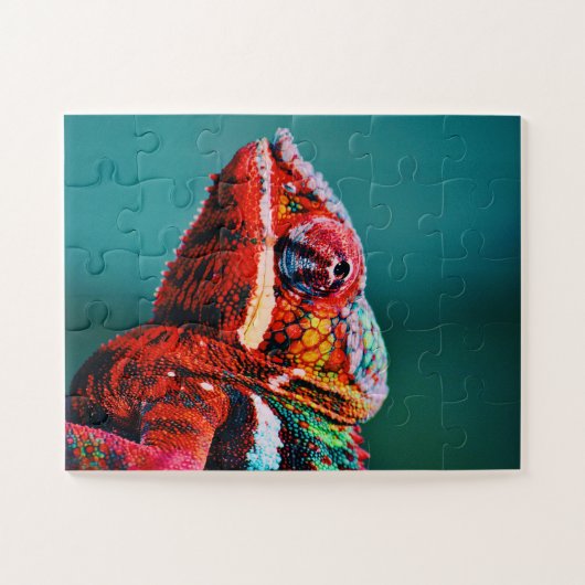 Puzzle Couleur Changement arc-en-ciel Chameleon Reptile (Horizontal)