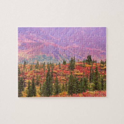 Puzzle Couleur d'automne dans le Parc national de Denali (Horizontal)