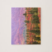 Puzzle Couleur d'automne dans le Parc national de Denali (Vertical)