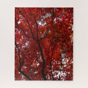 Puzzle Couleur de changement des Feuilles rouges