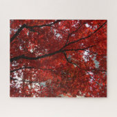 Puzzle Couleur de changement des Feuilles rouges (Horizontal)