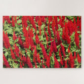 Puzzle Couleurs 1 (Horizontal)