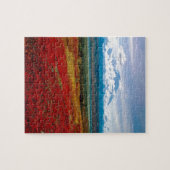 Puzzle Couleurs brillantes de parc de Denali Alaska (Horizontal)