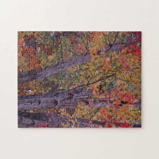 Puzzle Couleurs d'automne (Horizontal)