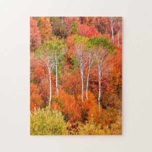 Puzzle Couleurs d'automne dans les montagnes Rocheuses, W