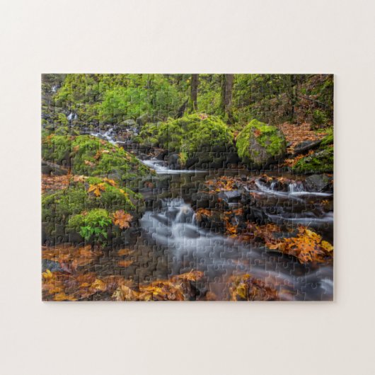 Puzzle Couleurs d'automne le long des chutes de Starvatio (Horizontal)