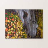 Puzzle Couleurs d'automne le long du ruisseau McGee (Horizontal)